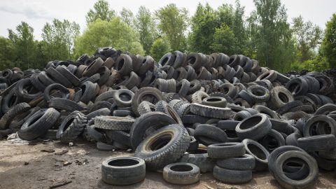iStock