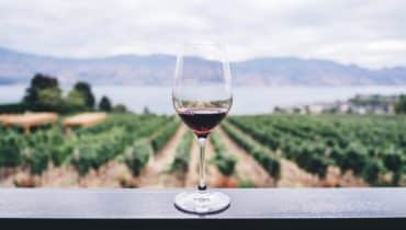 How organic is the vineyard?