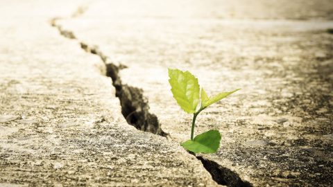 financial markets optimism