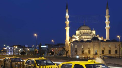 turkey