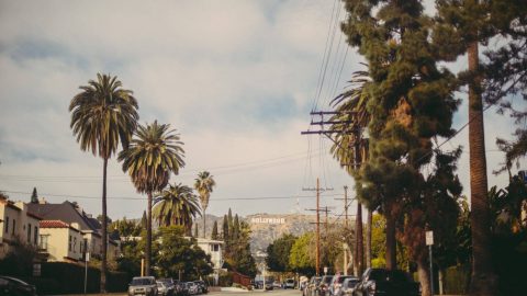 „Rough, nice and easy“ – Update from the Investment Division