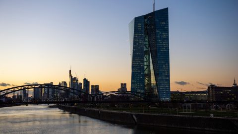 ECB bond purchases unconstitutional – Update from the Investment Division