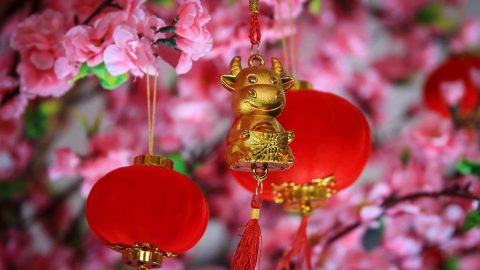 China 2021 – the year of the ox