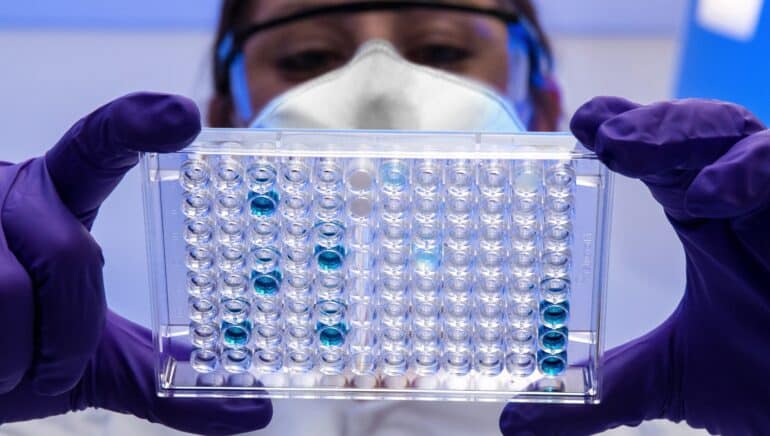 Despite correction: long-term upward trend of biotech companies intact