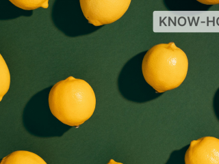 🍋 Dividend basics for shareholders