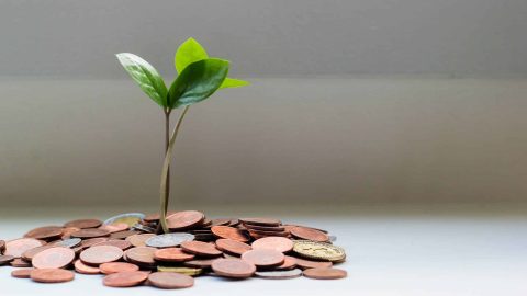 dividend strategy