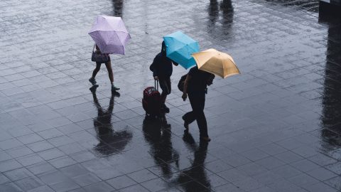 (c) unsplash