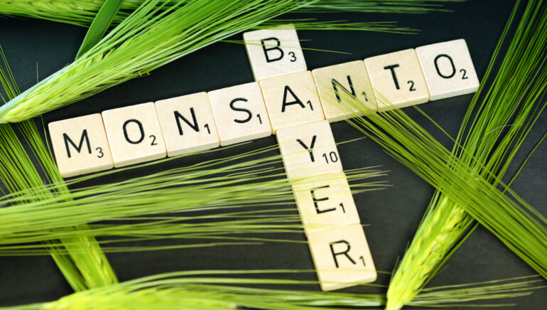 A Tale of Two Companies: Bayer’s Biodiversity Conundrum with Monsanto
