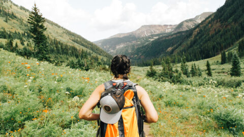 FNG Label: 17 top marks for our sustainable funds