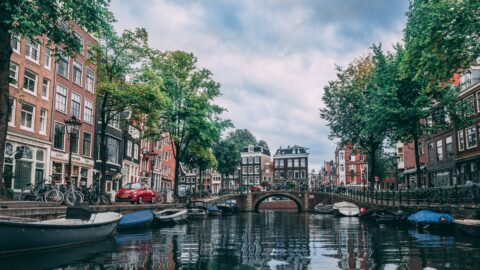 Surprise result in the Dutch elections