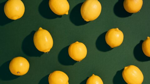 🍋 Dividend basics for shareholders