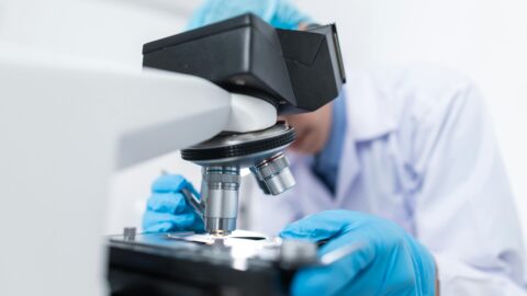 Money tip: Are biotechnology stocks at the outset of a new upswing?