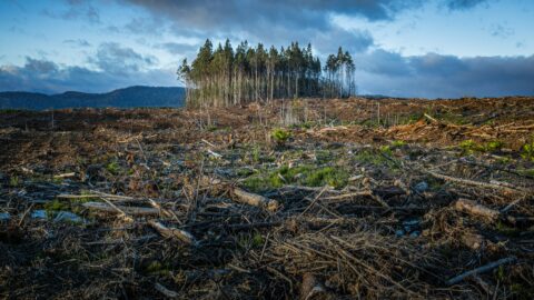 Interview: Minimizing climate risks effectively