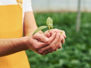 Social impact investing: let’s put people back into the limelight!