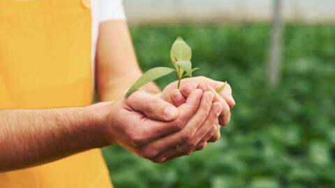 Social impact investing: let’s put people back into the limelight!