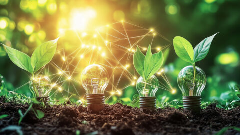 New momentum for environmental stocks?
