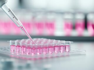 Biotechnology remains an exciting stock market topic