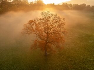 Weekly Winzer: Autumn fog