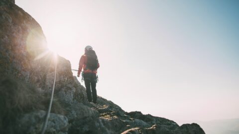 The search for stability continues, despite rising stock markets The search for stability continues, despite rising stock markets
