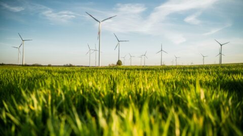 Speed to power: Why Cleantech equities keep catching up Speed to power: Why Cleantech equities keep catching up