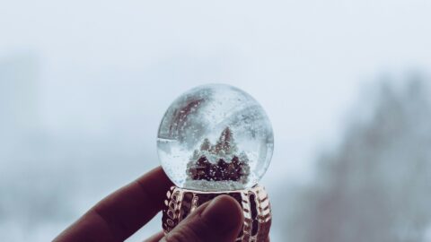 Reality check for the market outlook