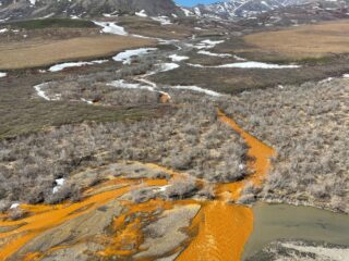 Sustainable investing 2026: From orange back to green?