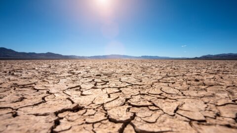 When water is scarce, it gets expensive: Drought as a financial risk