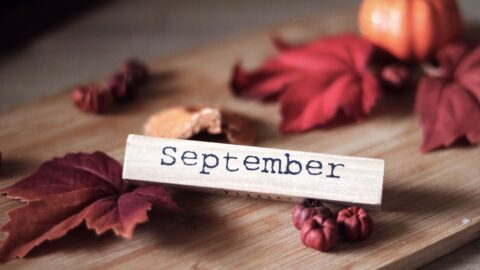 The September Effect: Why Fall Has a Bad Reputation on the Stock Market